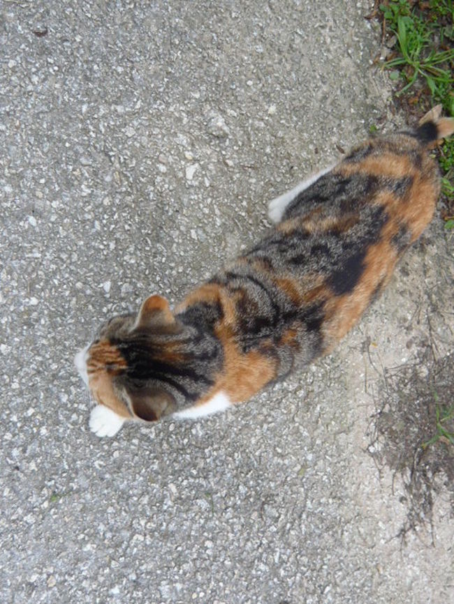 ←◆『ジュガンディーヤ神殿へ♪』 <br /><br />仲良くしながら撮影したんだけどー<br /><br />余り上手く撮れませんでしたね(汗)