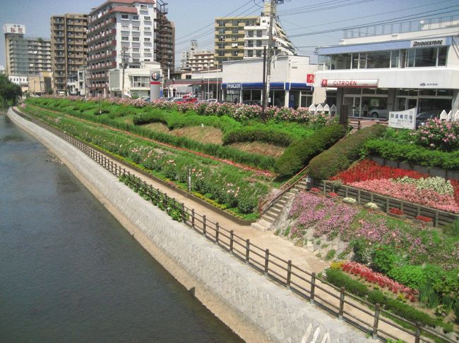 12時前の盛岡市内。さすがに岩手でも暑いです。商店街の温度計は３０℃を超していました＾＾；<br />開運橋の近くは花壇がきれいでした♪<br />遠くには岩手山も見えます。
