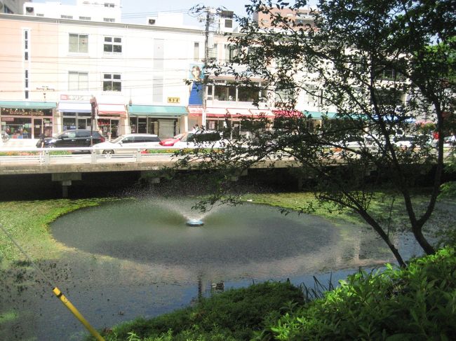 暑くて噴水で涼をとります。<br />電車の時間が近づいてきたので、急いで駅へと向かいます。<br />発車２０分前だというのに、ホームに停車中の車両にはたくさんの人。ぎりぎり一番前で座れました♪<br /><br />盛岡から仙台までは、一ノ関で一回乗り換えて行きました。ロングシートでちょっと疲れた＾＾；