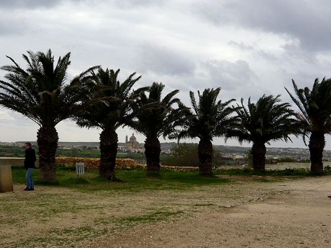 ←◆『ジュガンディーヤ神殿へ♪』<br /><br />神殿の周囲に、この木が並んでいて<br /><br />その外側に低い石垣がありましたよ 