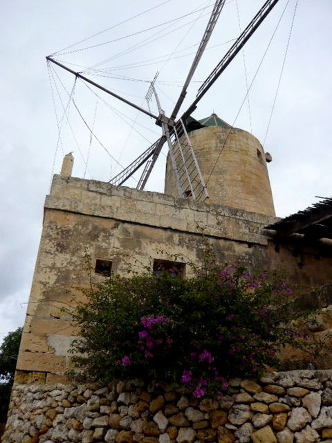 ←◆『TAKORAの風車♪』 <br /><br />いや、厳密にはデカイのではなく<br />高い台座の上に建てられましたよ<br /><br />上に登ろうか？とも思いましたが<br />なんだか？閉ってるみたいでした