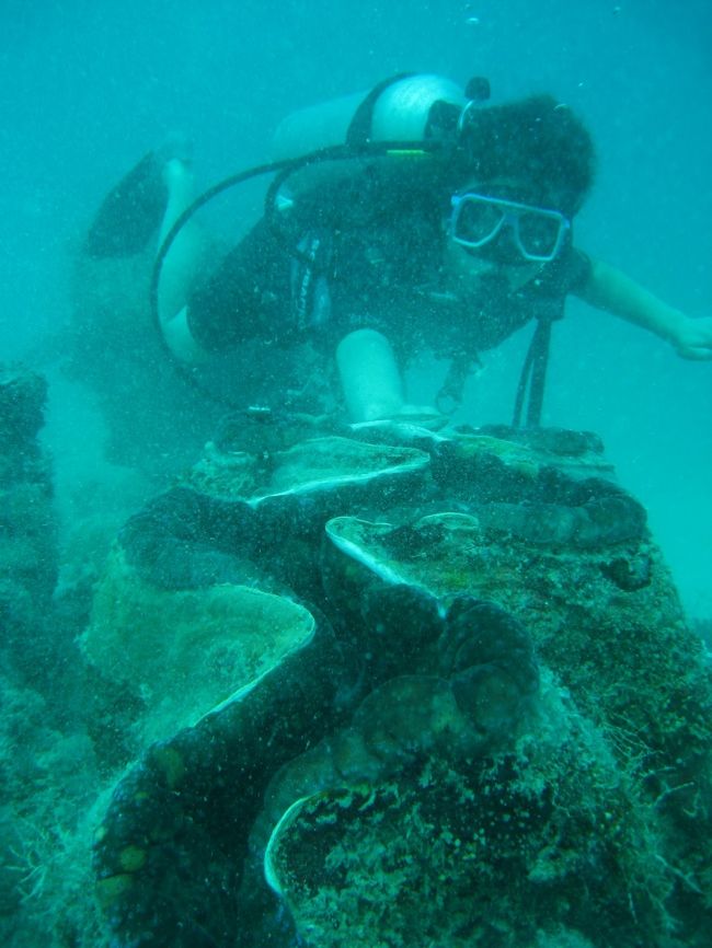 2日目も70分潜ってました。