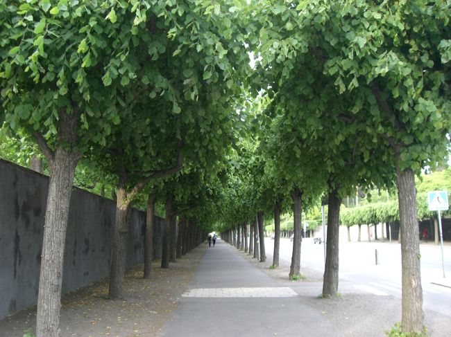 とりあえず進んでみる→