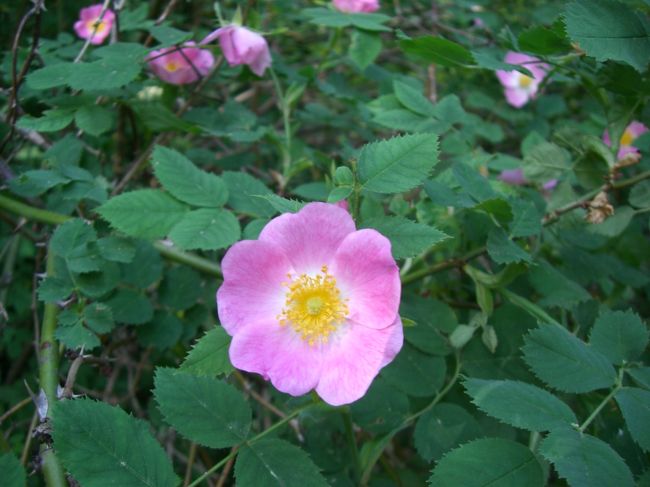 小高い丘を登って、