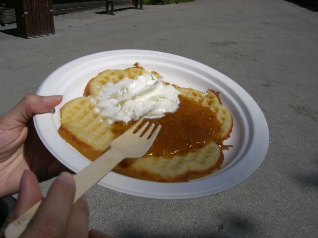 ワッフル４０Ｋｒ<br />＋ホイップクリーム１０Ｋｒ<br />ジャムは何味か忘れちゃいました。<br /><br />薄くてベチャッとした感じのワッフル・・・<br />っていうとおいしくなさそうかもしれないけど、<br />やわらかくて、ジュワっとしてておいしい♪