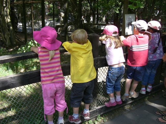 ミニ動物園に釘付けの子供たち。<br />遠足や親子連れで、<br />子供がたくさんいました！