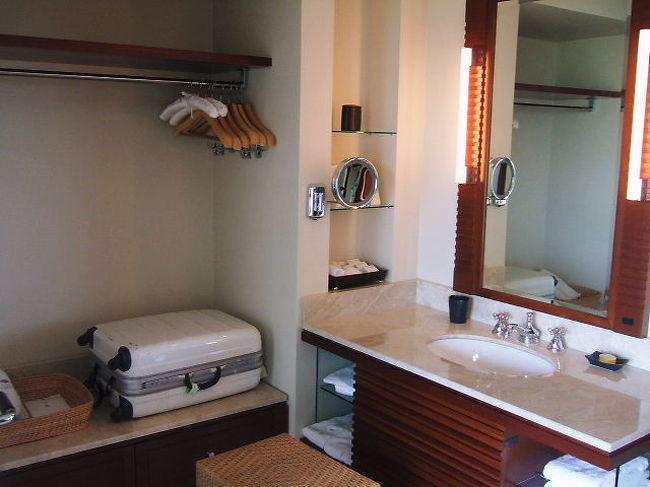 シンクは左右に２か所<br /><br />