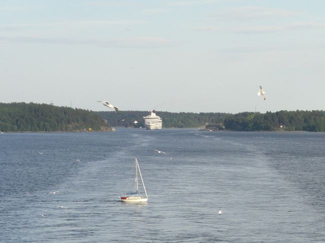 シリアラインとカモメがずっと付いて来てる☆