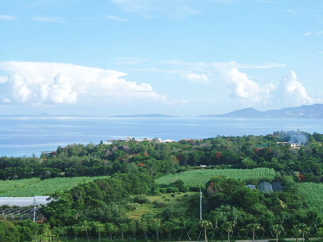 翌朝<br /><br />今朝も暑そう・・・