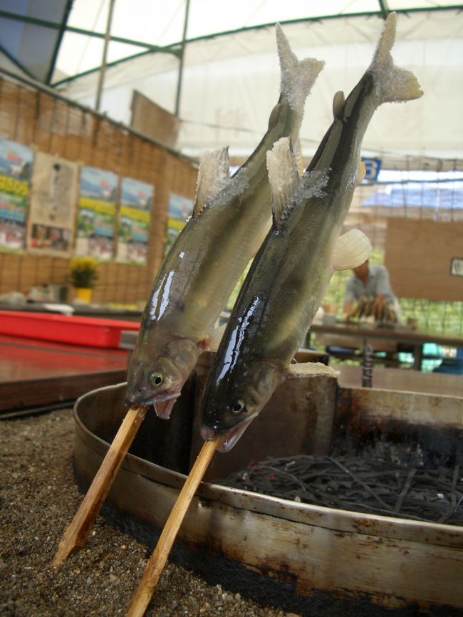 鮎の塩焼スタート!!<br />串に刺された鮎は、まだビチビチいって動いてました。<br />はやく食べれないかな〜♪<br /><br />あ、焼けた後は美味しくいただきました。<br />本当に美味しかった!!!!<br />あと、鮎の混ぜご飯も美味しかったよ〜♪