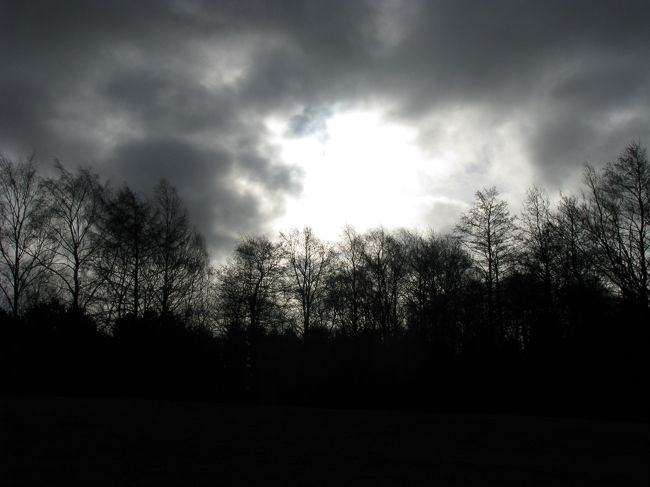 こうやって、ぐんぐん雨雲が近づいて<br />ざあーっと雨を降らす。<br /><br />すぐ止むんだけどね。