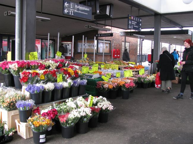 ヒレロズ駅プラットホームにて。<br /><br />『春がやってきたのよ！』<br /><br />と店員さんが言っていた。<br /><br />カラフルな花たち。<br /><br />こんなに気軽に花を買えちゃうのがいいなぁ。<br /><br />