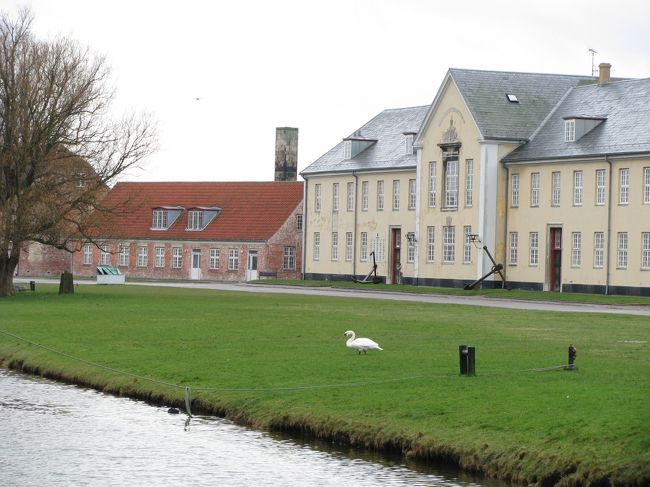 白鳥が外堀の水溝にいました。<br /><br />意地悪な白鳥でしたが、ステキでした。