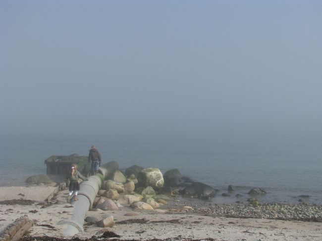 ツーリストインフォメーションでブッキングしたB&amp;Bはめちゃ遠くでした。<br /><br />『歩けない距離ではないわよ』<br />と応対してくれた姉さんが言うのでそれを信じて歩くことに。<br /><br />歩けど歩けど、見えてこない！！<br />（荷物が重かったのもあるけど）<br /><br />心配してオーナーのおじいさんがスズキ製の四駆に乗って迎えに来てくれた。<br /><br />海辺の宿なので、夜は電気もつけず波の音を聴いて楽しんだ。<br /><br />朝は霧が濃くて、ようやく外をあるけそうな位に霧が晴れてきて、外に散歩に出てみた。<br /><br />そのときの写真。