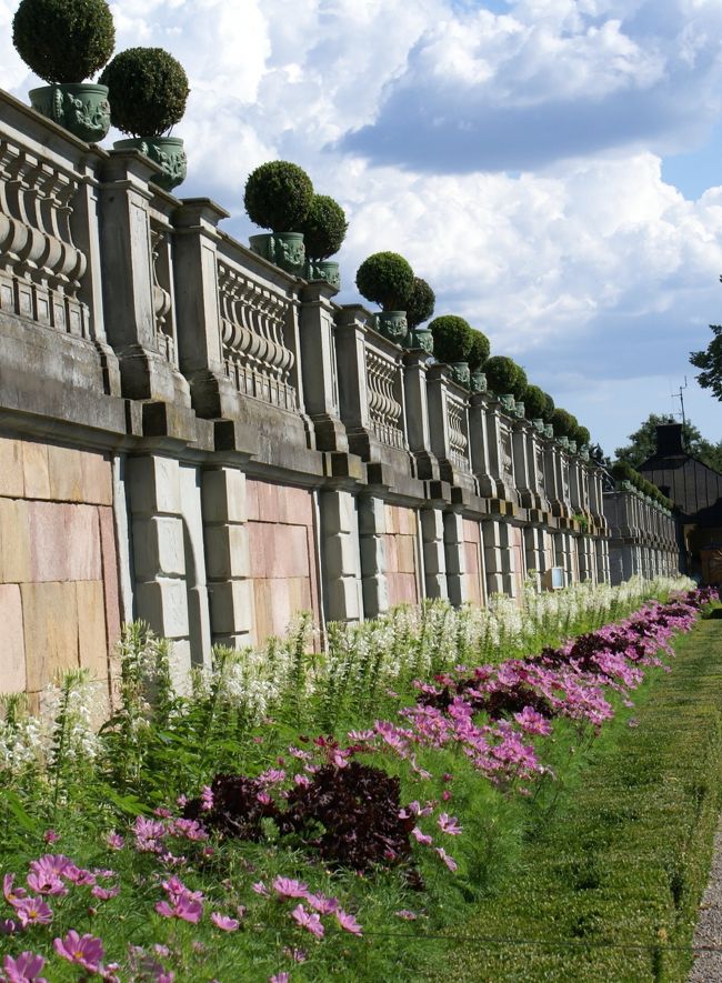 庭園側は白いヤナギランとピンクの大きなコスモスが咲いていた。