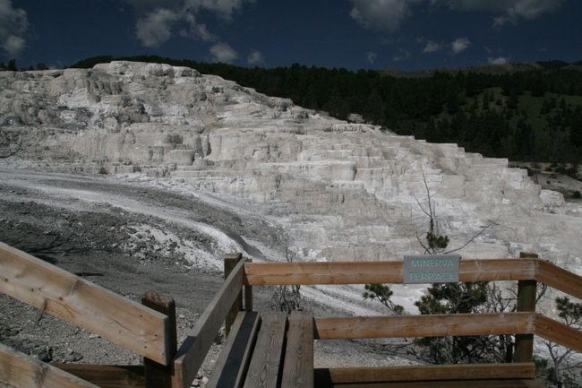 「Minerva Terrace」