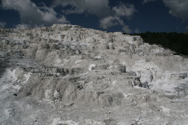 「Minerva Terrace」