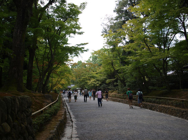 木々の緑がきれいです。<br />秋に来たらまた違った美しさでしょう。