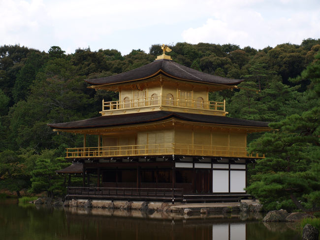 せっかくなのでアップで撮影