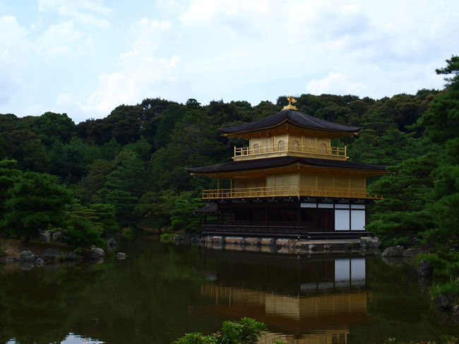 ホワイトバランスを調整して撮影。<br />写真はなかなか奥が深いです。