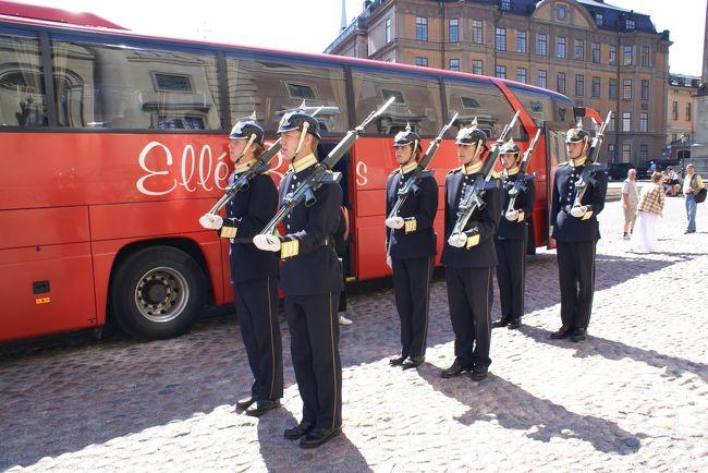 慌てて後ろに下がったら・・・<br />目の前で、ピタッと止まった。<br /><br />可愛い〜！<br />