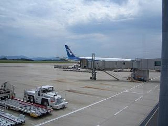 １３：００過ぎには広島空港につき、フードコートにあるお好み焼き屋の「うまいもん屋　五エ門」さんで、ねぎ焼き（８４０円）＆ビール（５２５円）を頂き、ANAFESTAでもみじ饅頭、牡蠣の燻製をお土産に買い、機内に向かいます。<br /><br />ちなみに写真は、あまり意味もなく、取ってしまいました。
