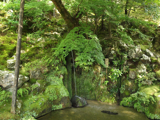 洗月泉<br />錦鏡池の南東端に落ちる滝です。