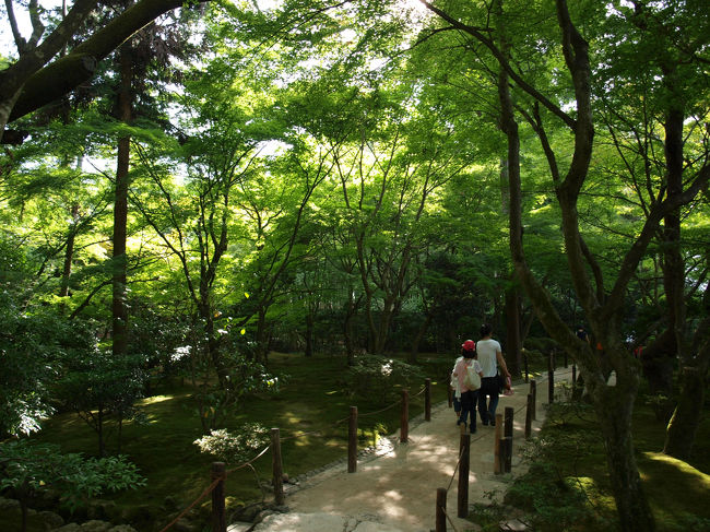 街は暑かったのですが、これだけの緑の中では涼しかったです