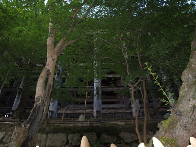 舞台を下から撮影<br />すばらしい建築構造です。