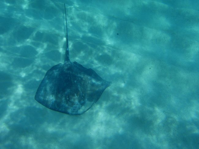 そしてえいさんも。