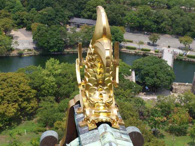 天守閣から眺めた鯱と周辺景色