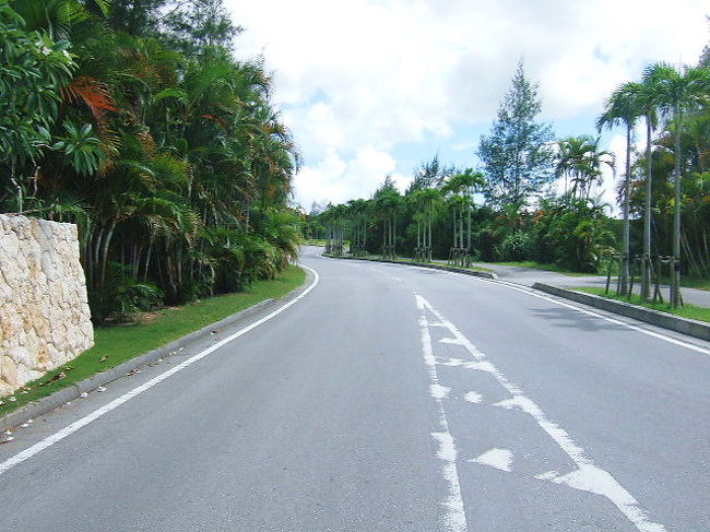 昨日のアッタテラスさんと同じような雰囲気ですね〜