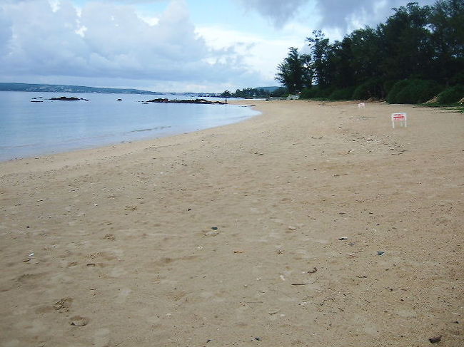 夕方５時半くらいでしたが、まだまだ暑い(w´Д｀w)