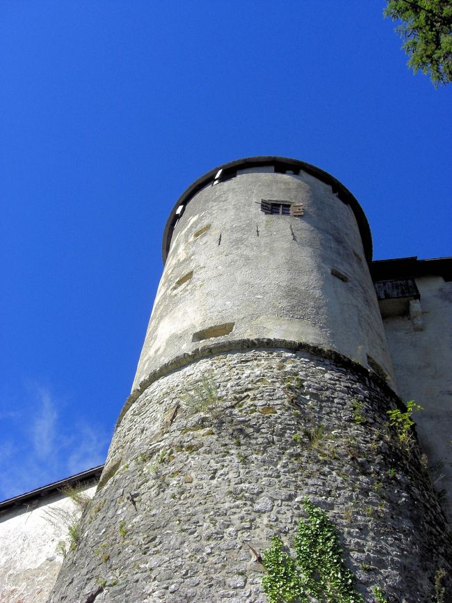 １１世紀に皇帝ハインリヒ２世がブレッドとその周辺をブリクセンの司教に進呈、その後ブレッド城も進呈されたお城です。