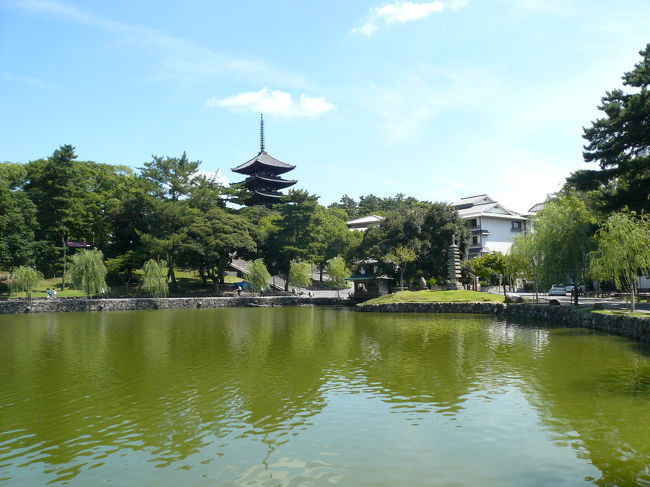 池周りの撮影指示ポイントからの撮影です。池もそんなに大きくなくてグルッとひと回りしようかなって思わせる、いいサイズです。ここからの写真はよくガイドブック等に載ってますよね。