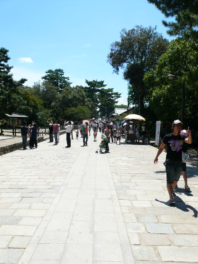 さきほどの道中の様子です。この写真で観光客の皆さんが懸命に撮ってるのが<br />↓<br />↓<br />↓