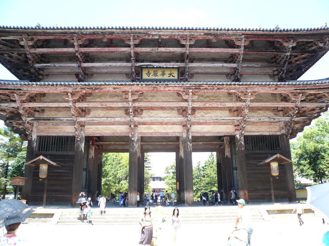 さすが国宝です。鎌倉時代に再建されたそうですが、それでも歴史がありますねぇ。まぁ鹿くんには関係なさそうですが。