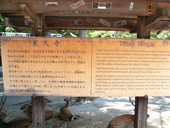 東大寺の説明板のようです。このあたりは少し木陰になっており、ヒトもシカも木陰でぐったり。。。でもシカの方が、まだまだ余裕がありそうです(笑)