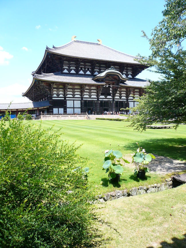 入ると左手に整備された庭の奥に、またまた国宝!金堂（大仏殿）が見えます。手前の芝のような上でサッカーしてみたいなぁ〜〜って事を思いながら日陰を進みます。