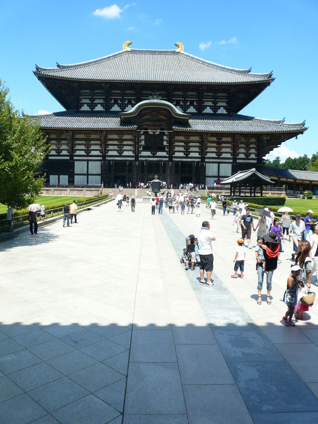 そのまま進むと正面に金堂が見えます。