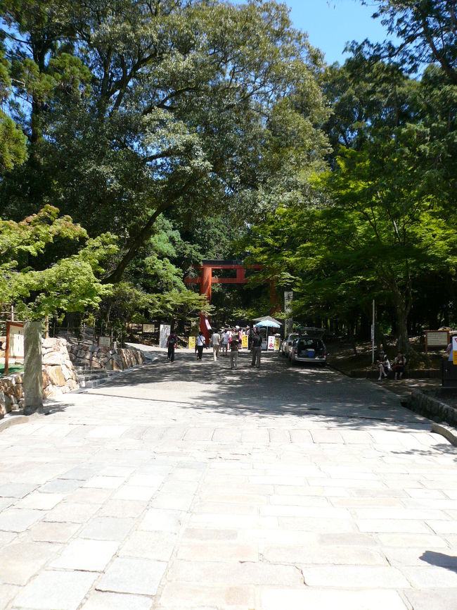 この後はどうも私以外乗り気がしない正倉院に向かいます(苦笑)。まぁ外から見るだけですから、わからないではないですが、見たかったので行きました♪♪鳥居の所を左に曲がって金堂外側に沿って進みます。