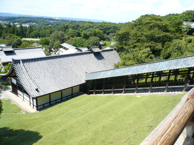 どうも手持ちのガイドブックのルートが裏手から進むようになっていたので、この傾斜を登りきって到着です。