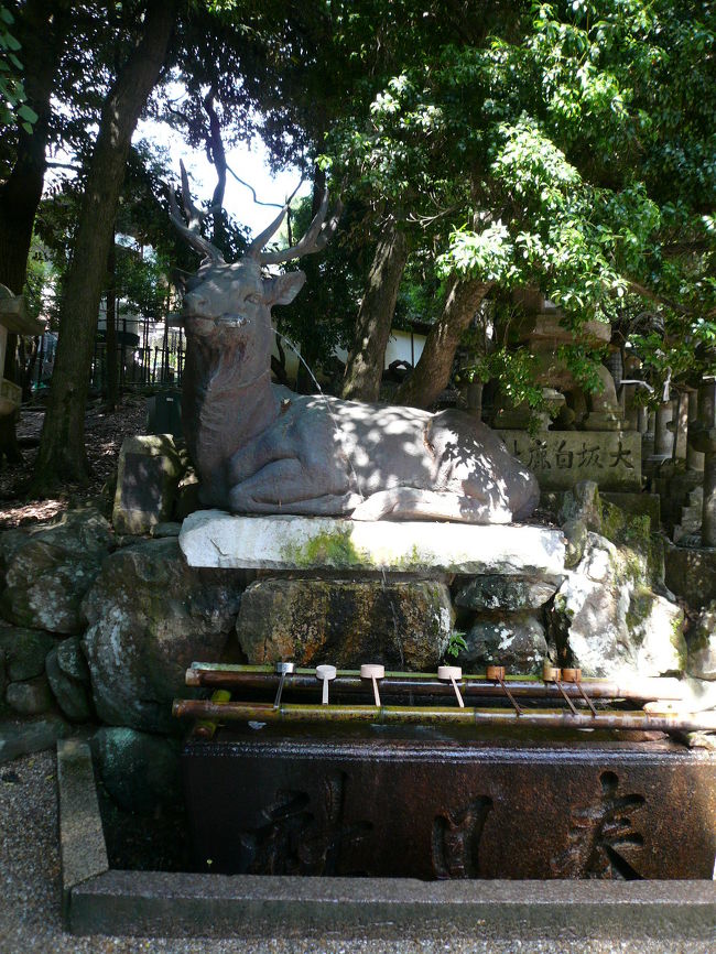 当然のようにシカからお水がでております。さすがに他の動物シリーズだとびっくりします。