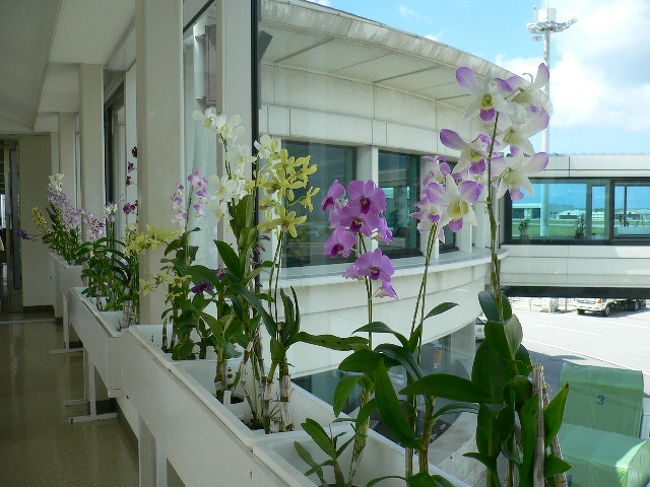 定刻どおり　沖縄に到着♪