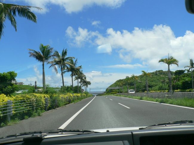 レンタカーを借り　早々　高速でホテルへ<br />(ＢＢが乗ってみたくて、リクエストしたのですが、喫煙車を指定したら　同じ金額にもかかわらず旧車両になりました、、スタッフ曰く、禁煙車両なら最新型があります、、だって。)