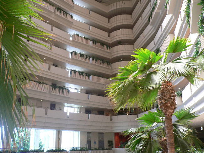 入り口を入ると、吹き抜けになっていました。