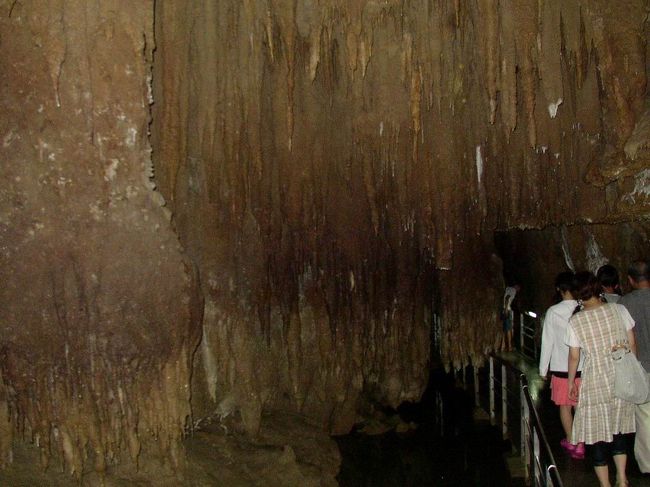 槍のように垂れ下がっていました。<br />ところどころ、歩くのに危険なのでしょうか先を切ってあるところがありました。<br />