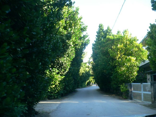 急いで着替えて、、、車を飛ばす事　約50分。　<br /><br />予定していた瀬良垣ビーチは工事中で入所禁止。<br /><br />明日の予定だった　本部町へ。