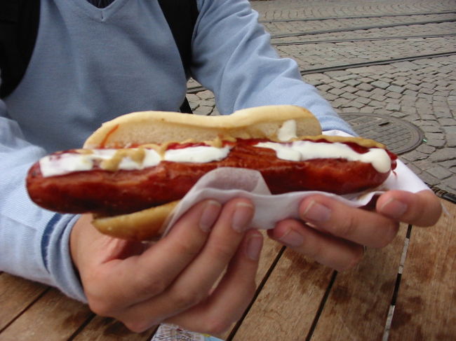 ご飯の後はスカンセンへ。スカンセンは、屋外博物館と呼ばれるところです。うーん、日本のハウステンボスみたいなところかな？？　<br /><br />結局途中でおなかがすいたので、朝ごはんPart2〜！ホットドッグです。ストックホルムのいたるところにあります。ちょっとドイツやオランダを思い出します。同じゲルマン系の国だから、食文化も似ているんでしょうね。
