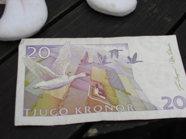 夜のストックホルムをうろついた後ホテルへ。<br />ふと気づくと、20クローネ札にはニルスの絵が描かれていました。